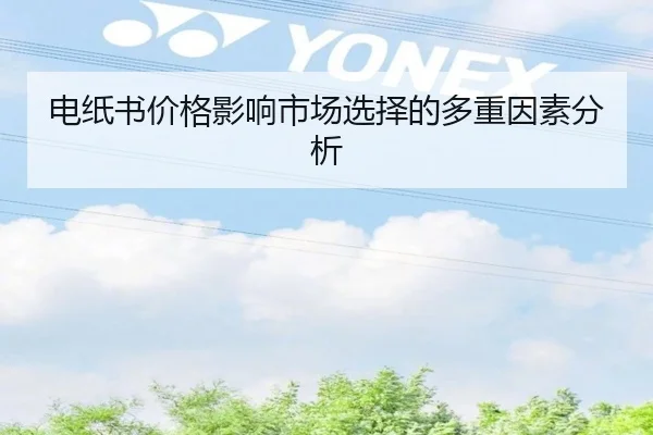 电纸书价格影响市场选择的多重因素分析