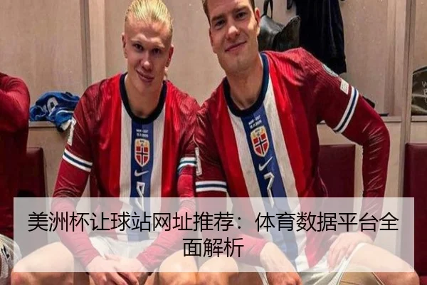 美洲杯让球站网址推荐：体育数据平台全面解析